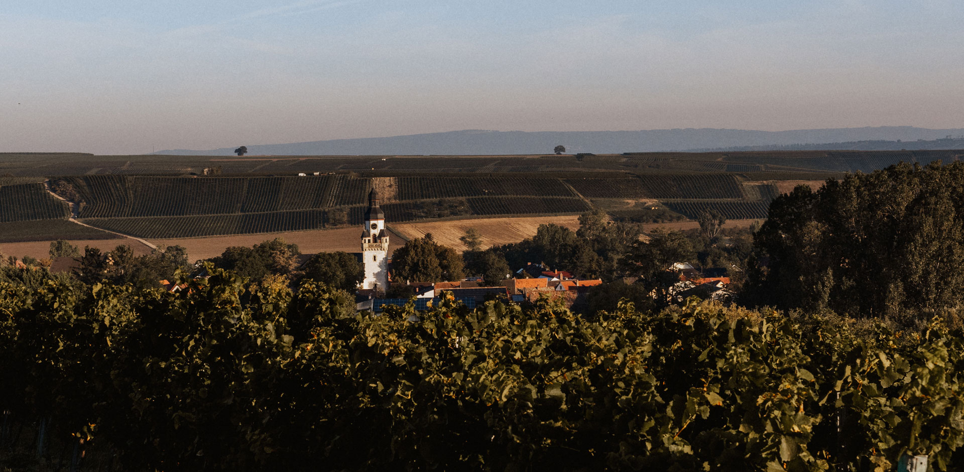 slide_saulheim4