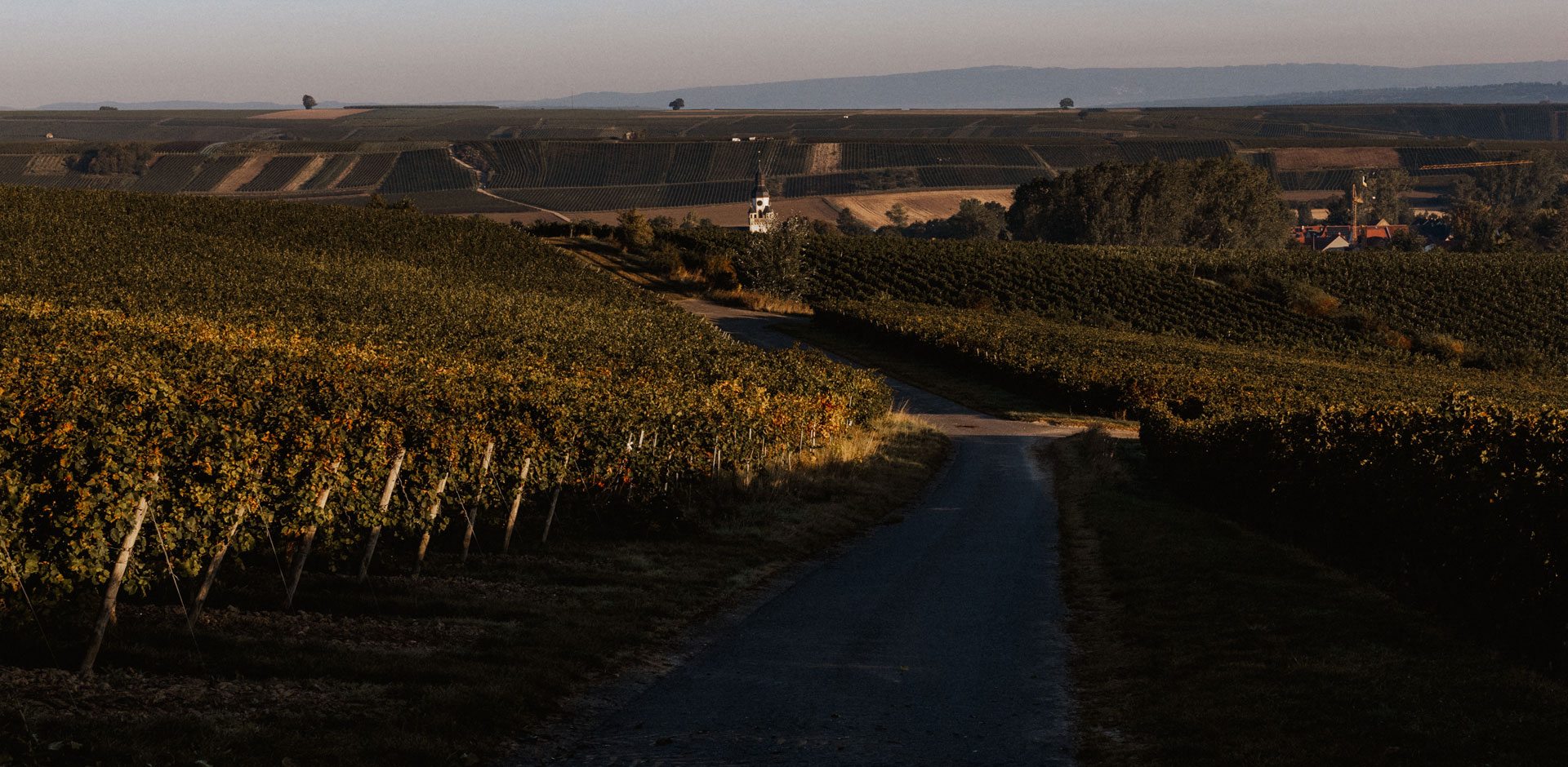 slide_weingut-2